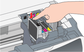 Install Ink Cartridges